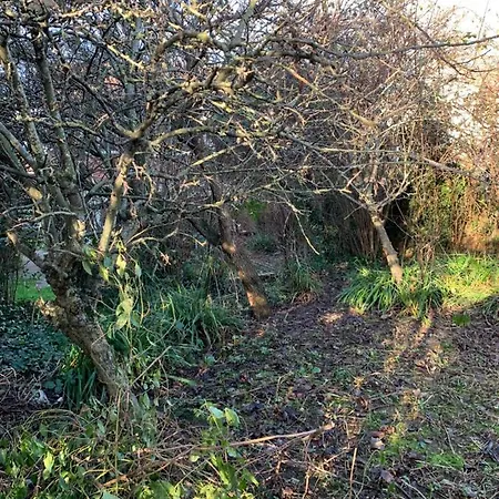 Walcott Villa Hereford Exterior photo